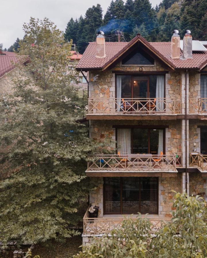 Parnassus Dreamwood Chalet Eptálofos Eksteriør billede